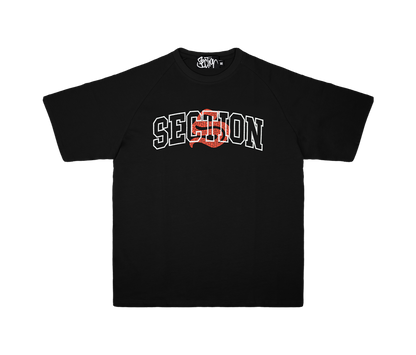 UNIVERSITY RAGLAN TEE (BLACK)