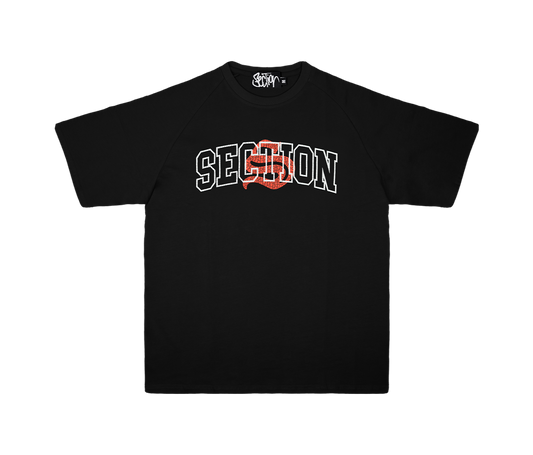 UNIVERSITY RAGLAN TEE (BLACK)