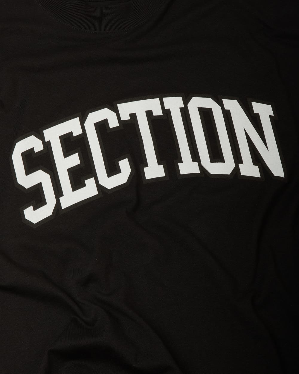 sect!on University Logo Tee (White)